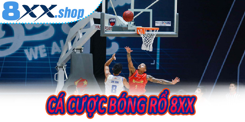 Cá Cược Bóng Rổ 8XX
